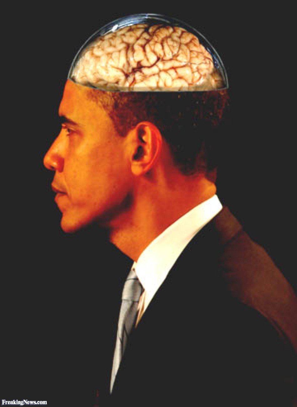 Obama-s-Brain-in dome